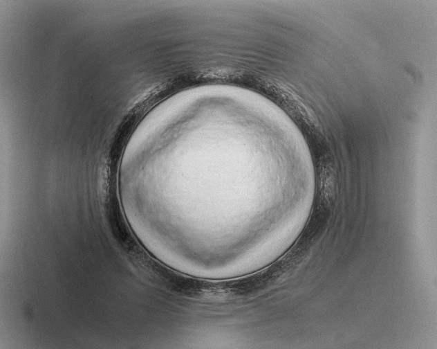 X0000116660591201001041111