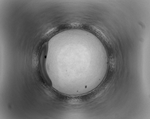 X0000116660593201001041111