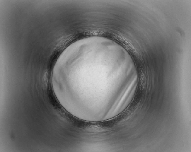 X0000116660594201001041111