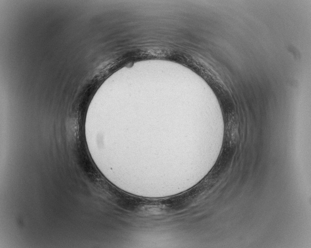 X0000116660595201001041111