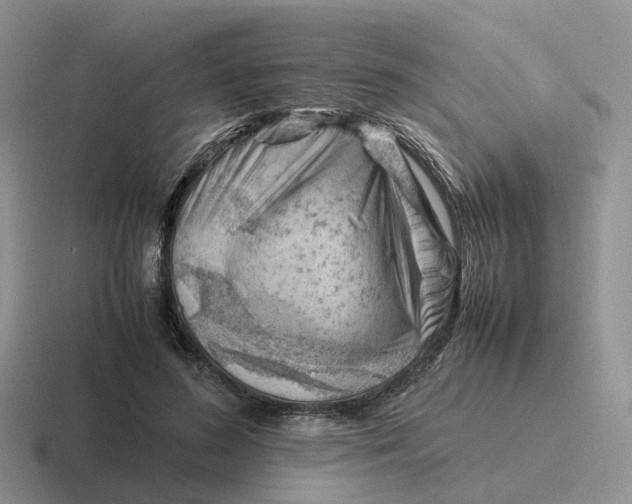 X0000116660596201001041111