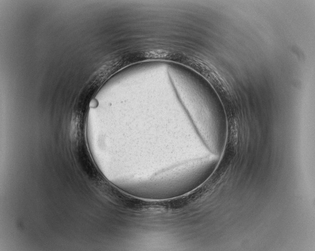 X0000116660598201001041111