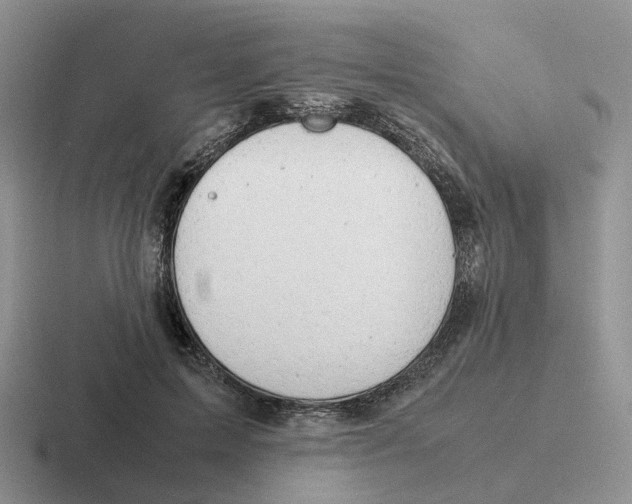 X0000116660599201001041111