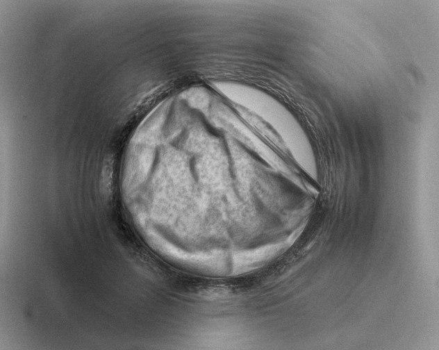 X0000116660600201001041111