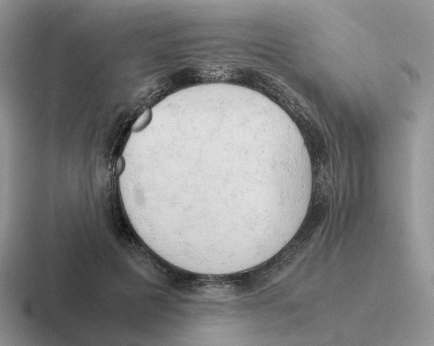 X0000116660601201001041111