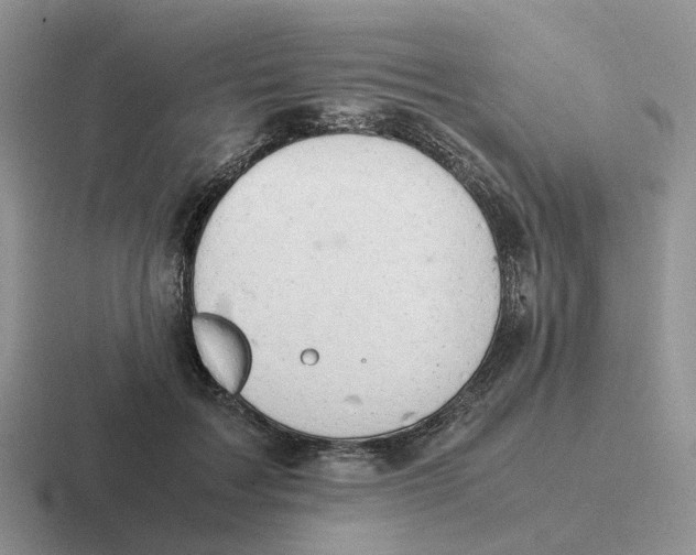 X0000116660603201001041111