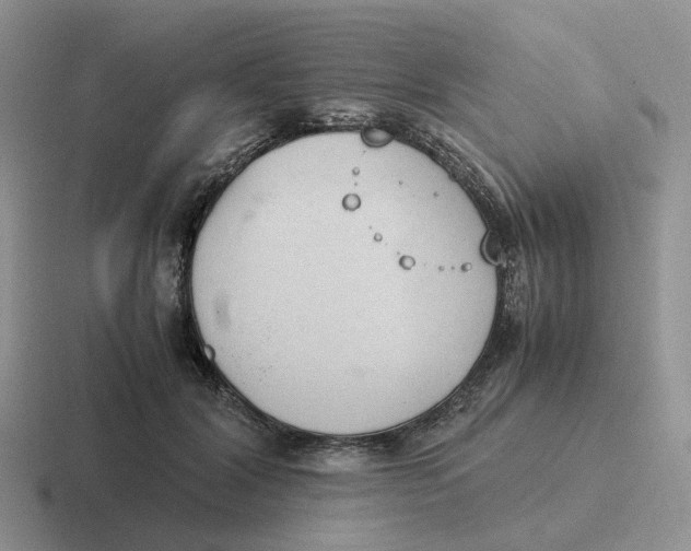 X0000116660604201001041111