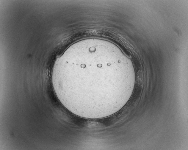 X0000116660605201001041111