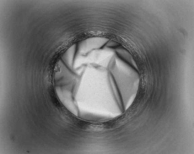 X0000116660606201001041111