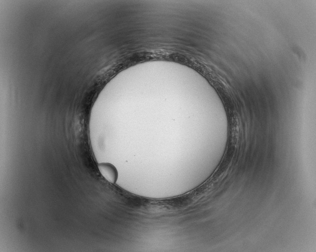 X0000116660608201001041111