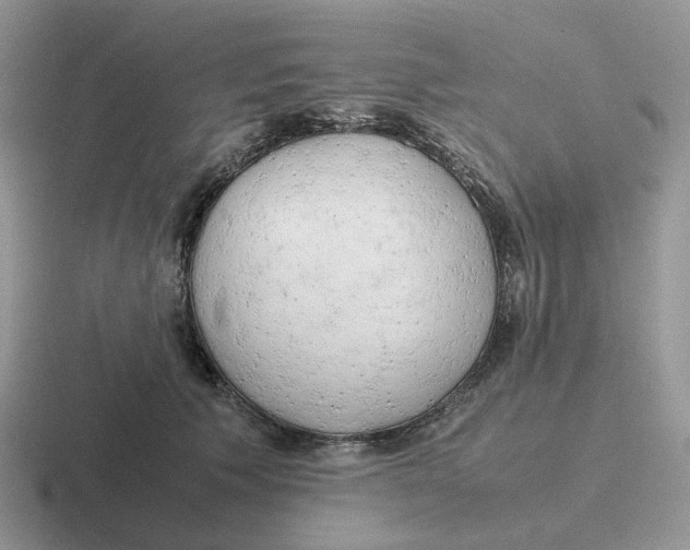 X0000116660609201001041111