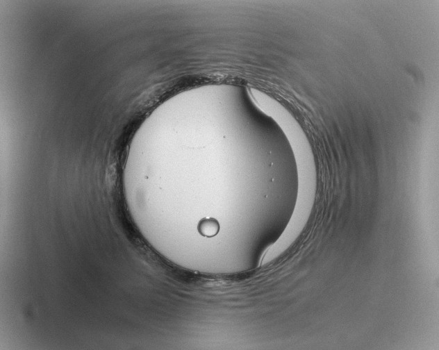 X0000116660611201001041111