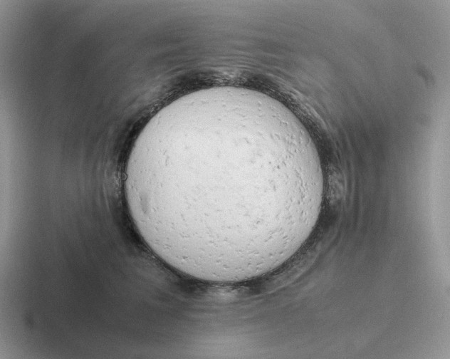 X0000116660613201001041111