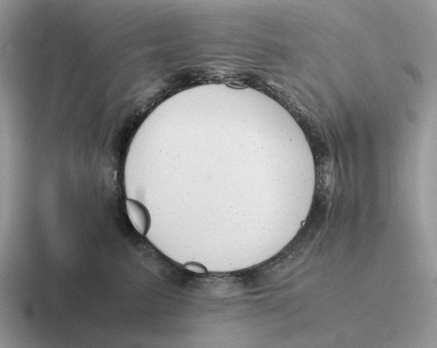 X0000116660615201001041111