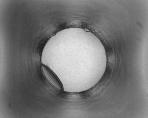 X0000116660617201001041111