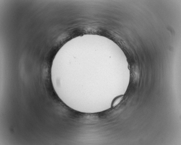 X0000116660619201001041111