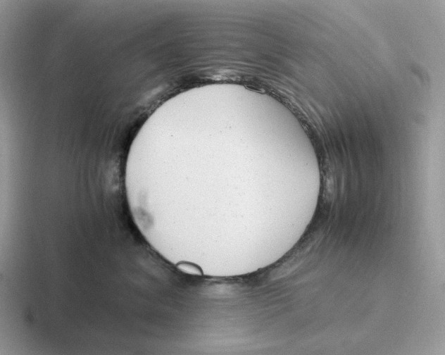 X0000116660620201001041111