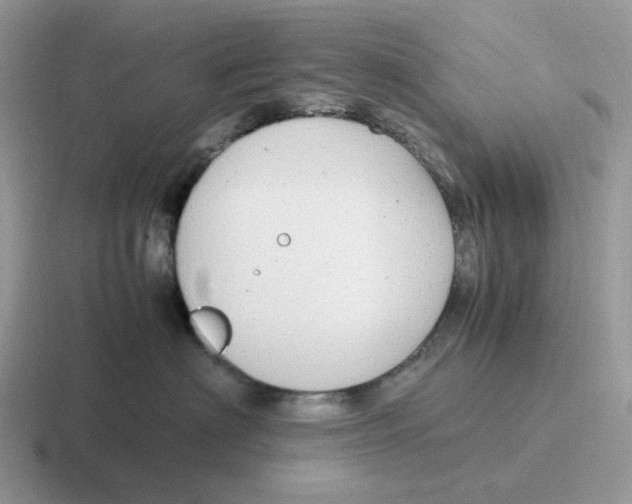 X0000116660622201001041111