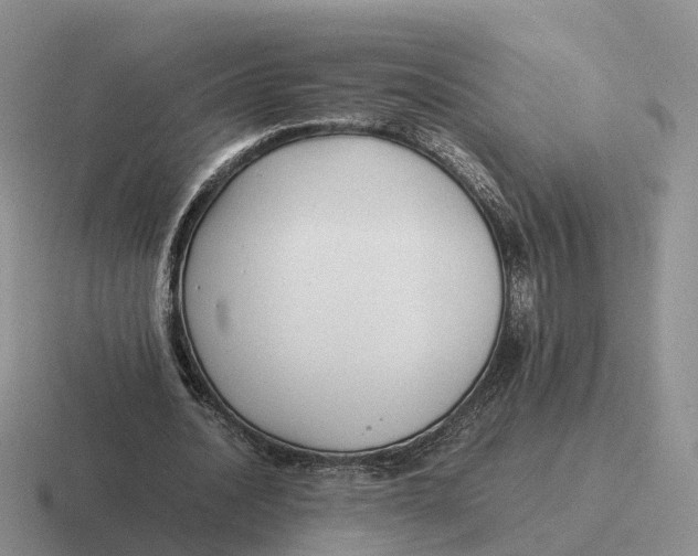 X0000116660628201001041110