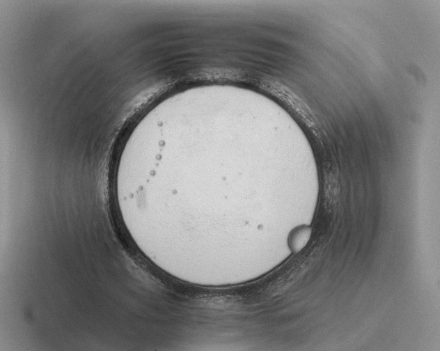 X0000116660629201001041110