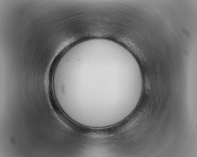 X0000116660630201001041110