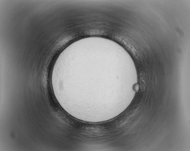 X0000116660631201001041110