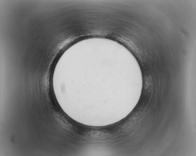 X0000116660632201001041110