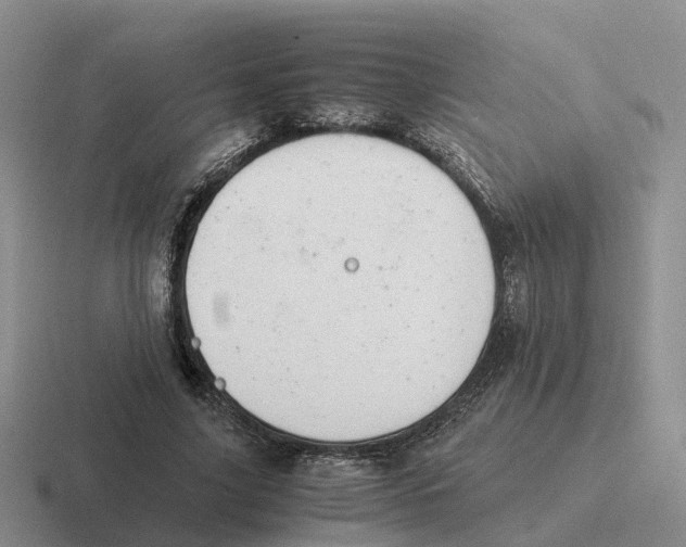 X0000116660635201001041110