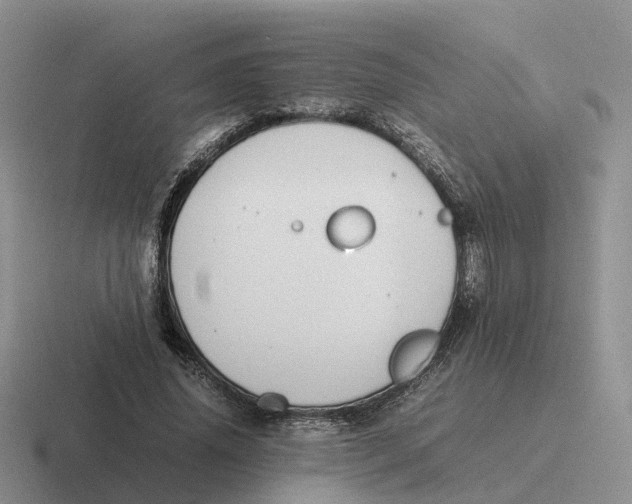 X0000116660636201001041110