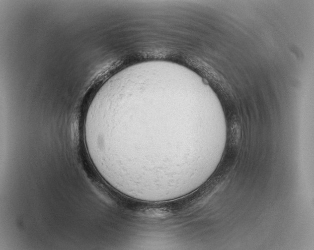 X0000116660638201001041110