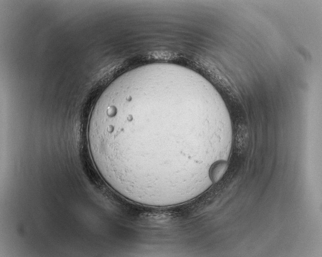 X0000116660639201001041111