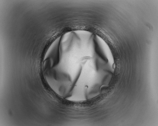 X0000116660641201001041111