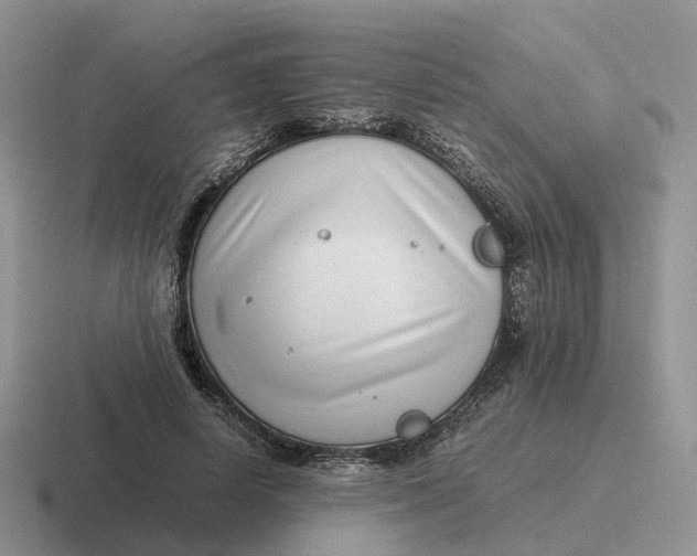 X0000116660642201001041111