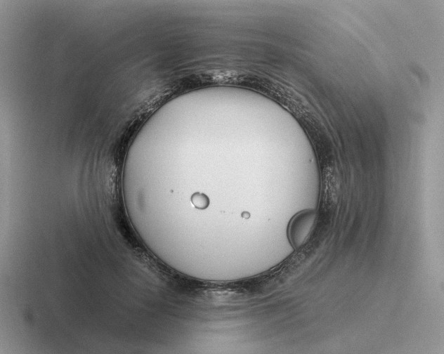 X0000116660650201001041111