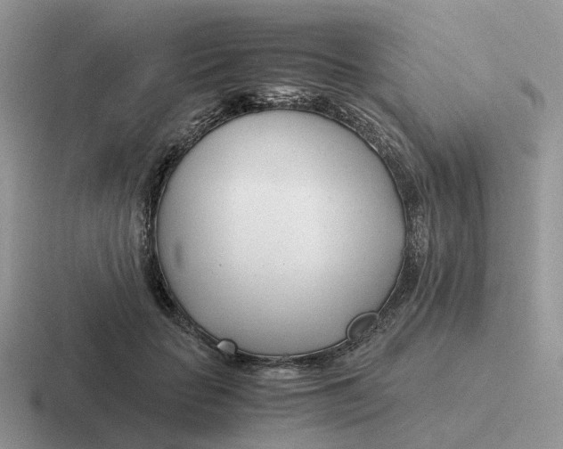 X0000116660653201001041111