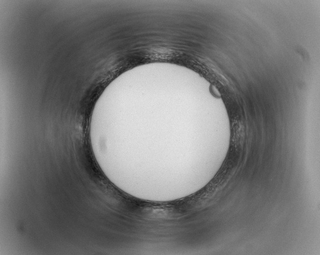 X0000116660655201001041111