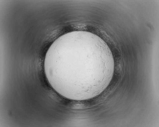 X0000116660658201001041111