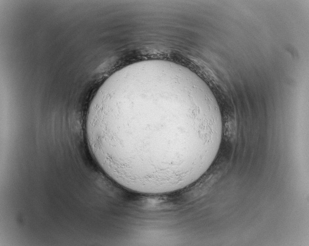 X0000116660662201001041111