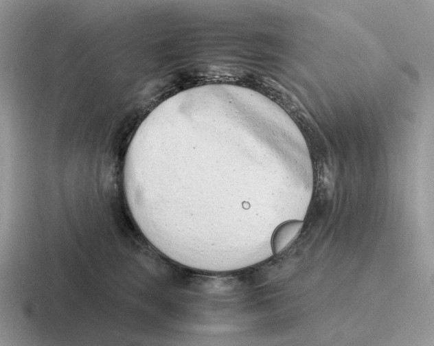 X0000116660663201001041111