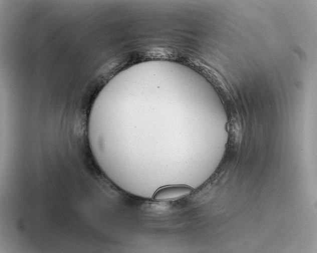 X0000116660665201001041111