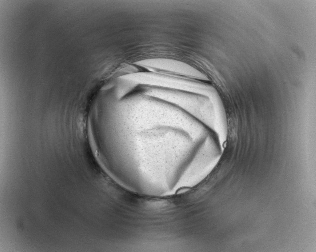 X0000116660669201001041111