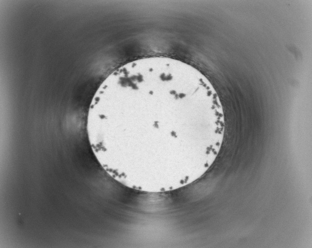 X0000116660672201001041111