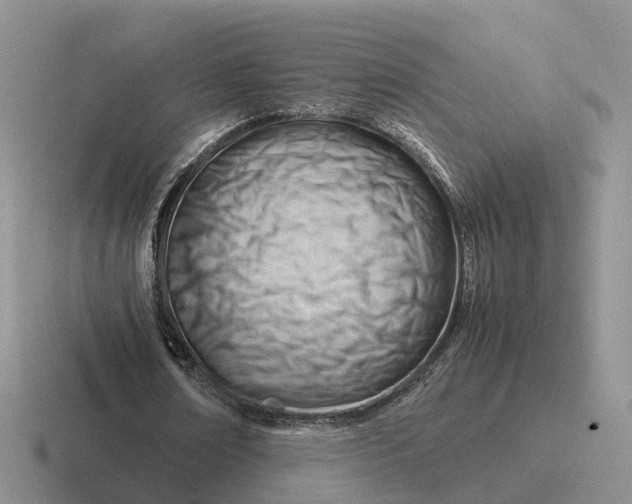 X0000116660674201001041110