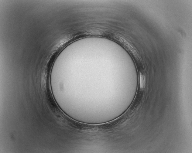 X0000116660675201001041110