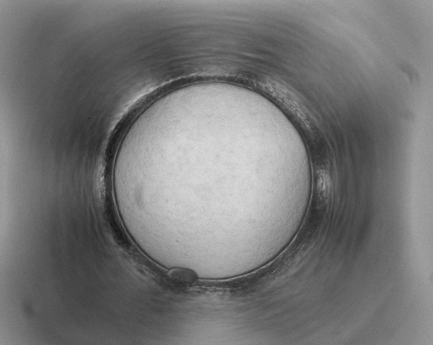 X0000116660676201001041110