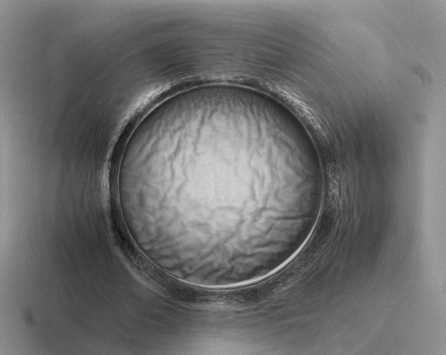 X0000116660678201001041110