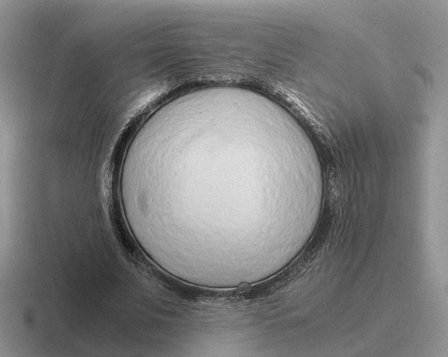 X0000116660679201001041110