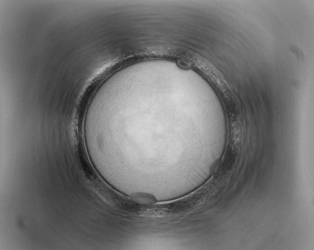 X0000116660680201001041110