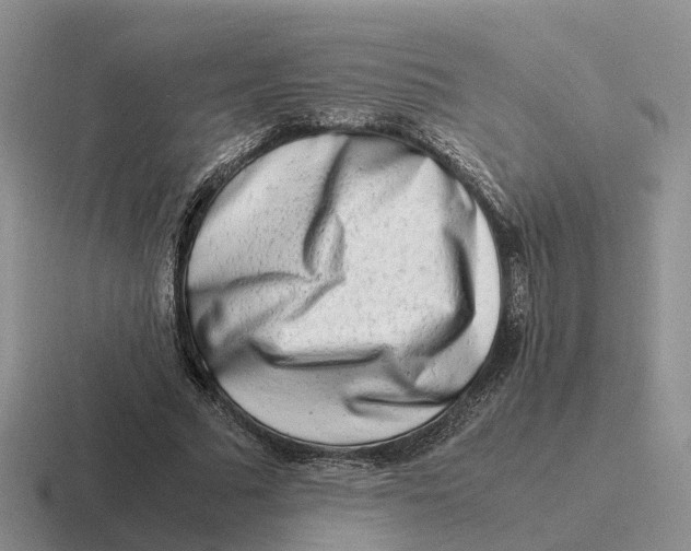 X0000116660681201001041110