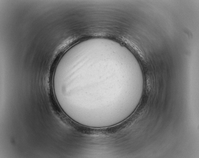 X0000116660682201001041110